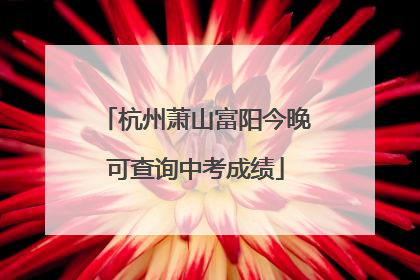 杭州萧山富阳今晚可查询中考成绩